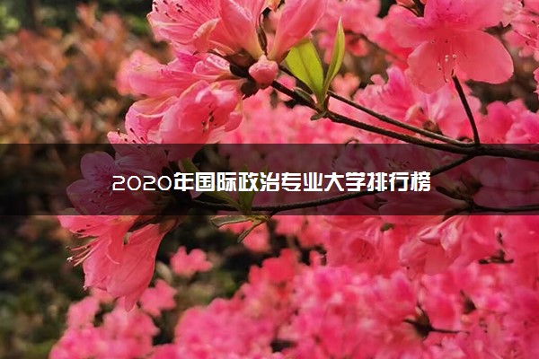 2020年国际政治专业大学排行榜