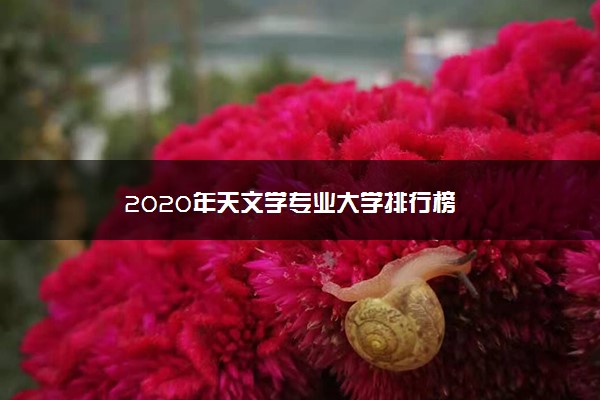 2020年天文学专业大学排行榜