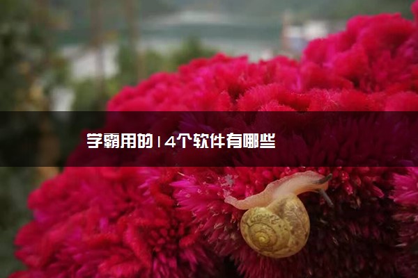 学霸用的14个软件有哪些