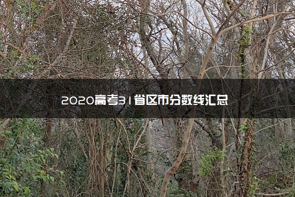 2020高考31省区市分数线汇总