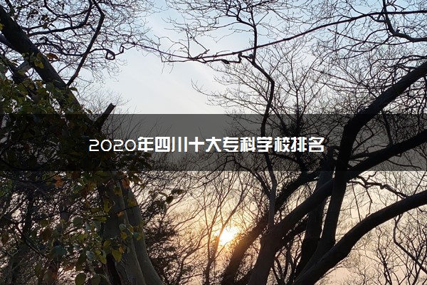 2020年四川十大专科学校排名