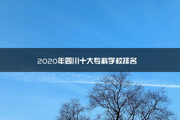 2020年四川十大专科学校排名