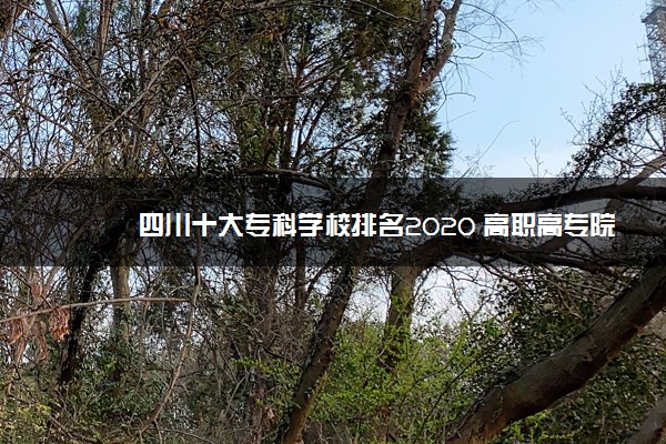 四川十大专科学校排名2020 高职高专院校排名前十