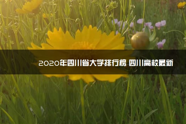 2020年四川省大学排行榜 四川高校最新排名