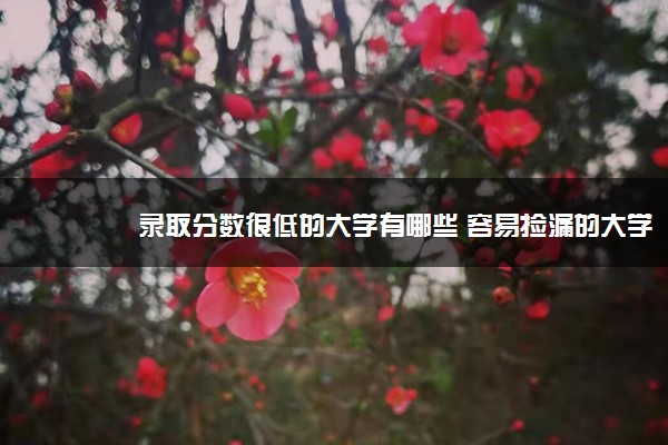 录取分数很低的大学有哪些 容易捡漏的大学