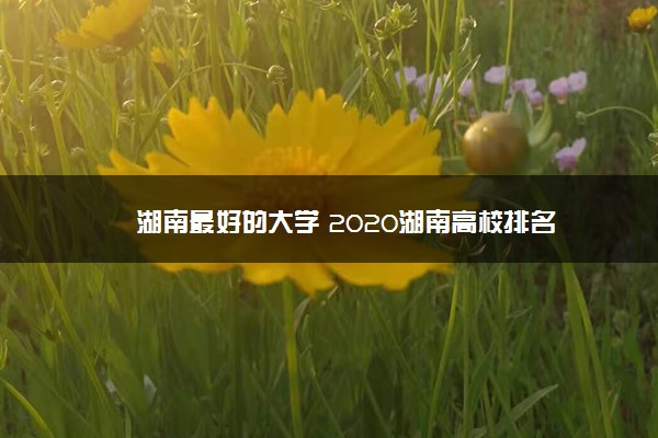 湖南最好的大学 2020湖南高校排名