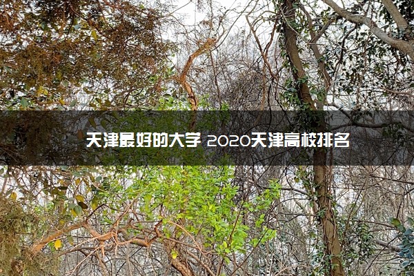 天津最好的大学 2020天津高校排名