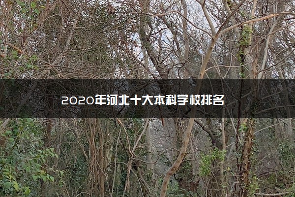 2020年河北十大本科学校排名