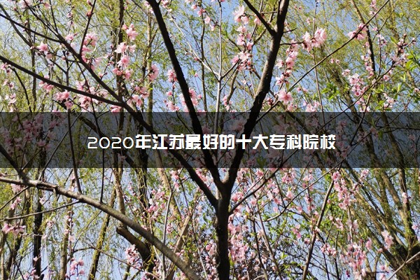 2020年江苏最好的十大专科院校