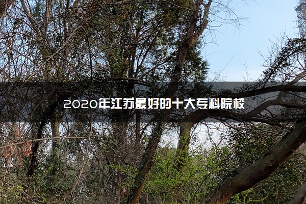 2020年江苏最好的十大专科院校