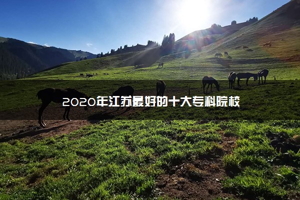 2020年江苏最好的十大专科院校