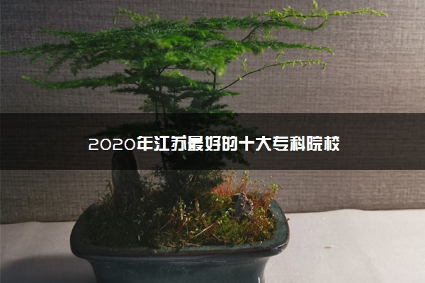 2020年江苏最好的十大专科院校