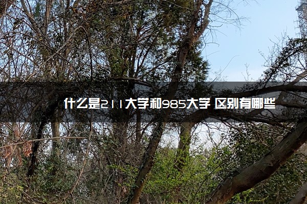 什么是211大学和985大学 区别有哪些