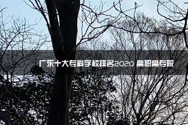 广东十大专科学校排名2020 高职高专院校排名前十