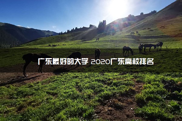 广东最好的大学 2020广东高校排名