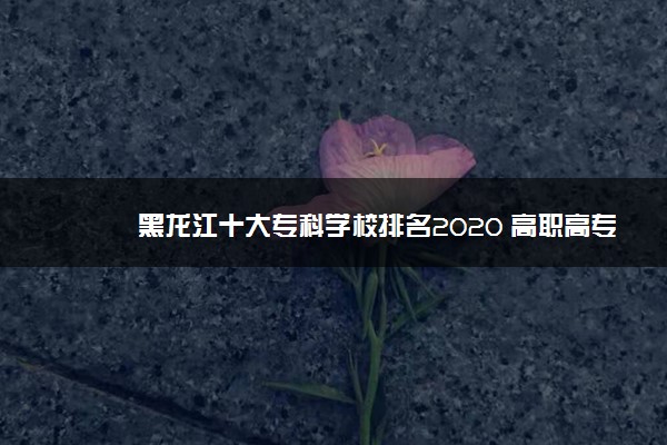 黑龙江十大专科学校排名2020 高职高专院校排名前十