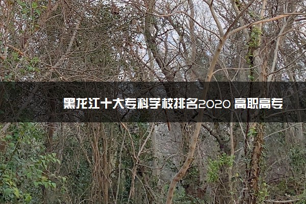 黑龙江十大专科学校排名2020 高职高专院校排名前十