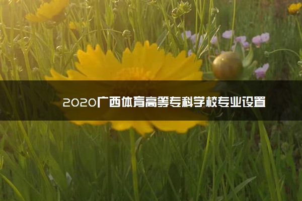 2020广西体育高等专科学校专业设置