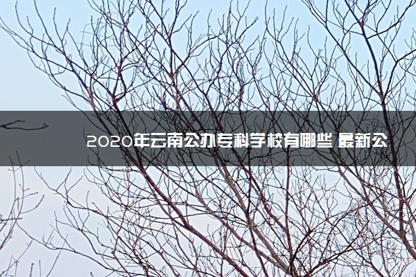 2020年云南公办专科学校有哪些 最新公办专科院校名单