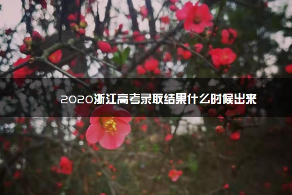 2020浙江高考录取结果什么时候出来