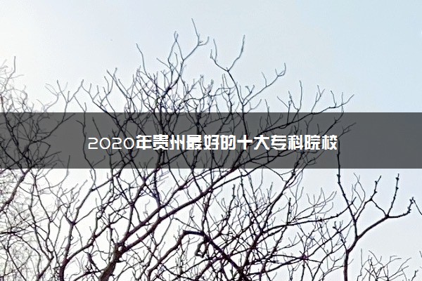 2020年贵州最好的十大专科院校