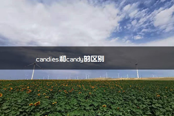 candies和candy的区别