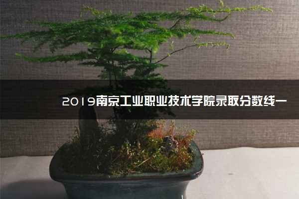 2019南京工业职业技术学院录取分数线一览表