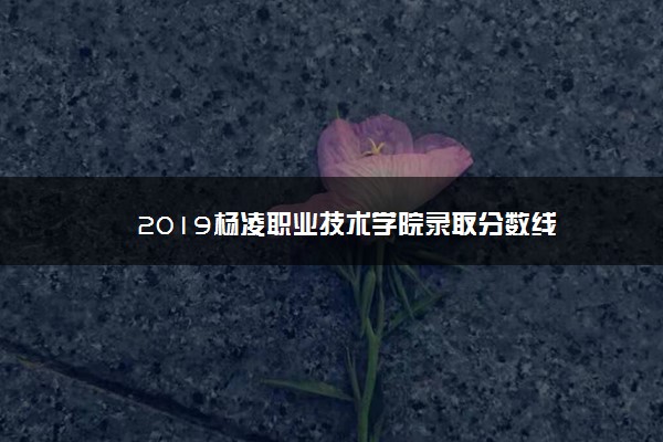 2019杨凌职业技术学院录取分数线