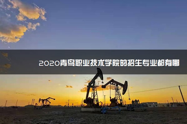 2020青鸟职业技术学院的招生专业都有哪些