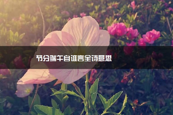 节分端午自谁言全诗意思