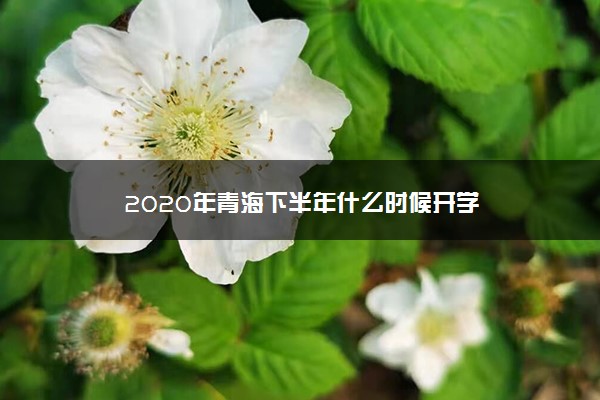 2020年青海下半年什么时候开学