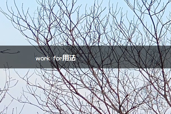 work for用法