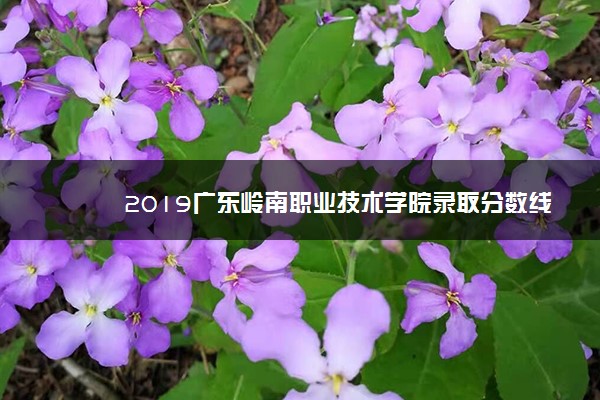 2019广东岭南职业技术学院录取分数线