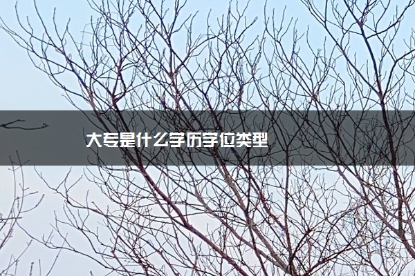 大专是什么学历学位类型