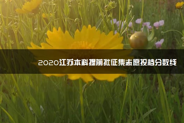 2020江苏本科提前批征集志愿投档分数线（其它院校）