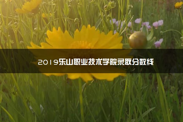 2019乐山职业技术学院录取分数线