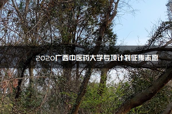 2020广西中医药大学专项计划征集志愿