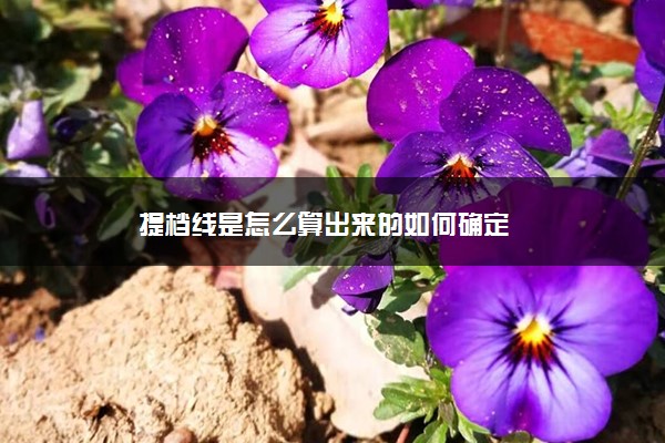 提档线是怎么算出来的如何确定