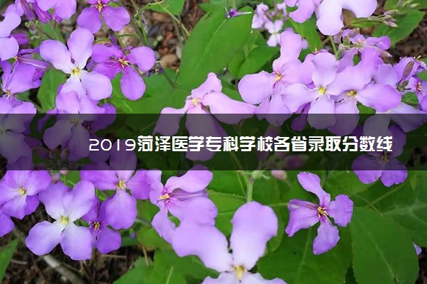 2019菏泽医学专科学校各省录取分数线