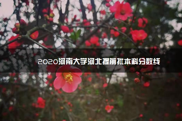 2020河南大学河北提前批本科分数线