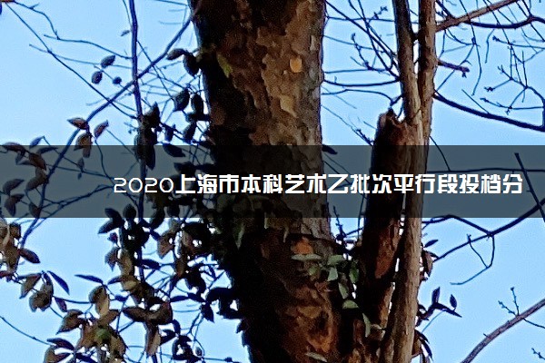 2020上海市本科艺术乙批次平行段投档分数线（器乐）