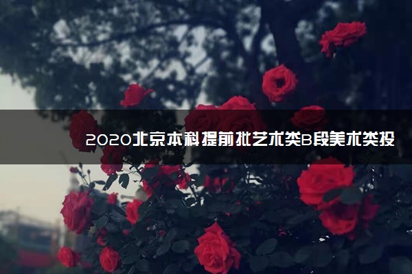 2020北京本科提前批艺术类B段美术类投档分数线