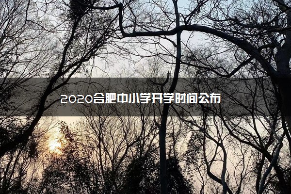 2020合肥中小学开学时间公布