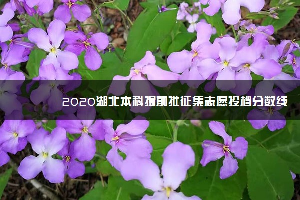 2020湖北本科提前批征集志愿投档分数线