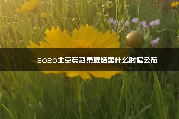 2020北京专科录取结果什么时候公布