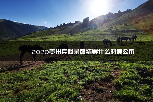 2020贵州专科录取结果什么时候公布