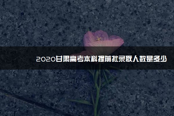 2020甘肃高考本科提前批录取人数是多少