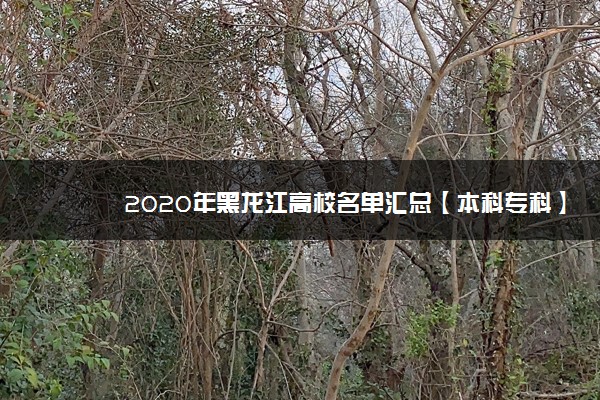 2020年黑龙江高校名单汇总【本科专科】