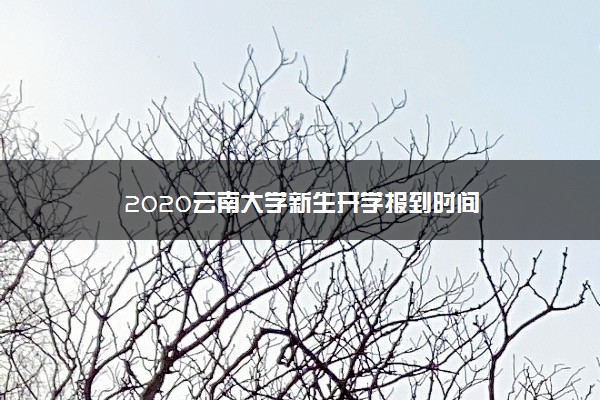 2020云南大学新生开学报到时间