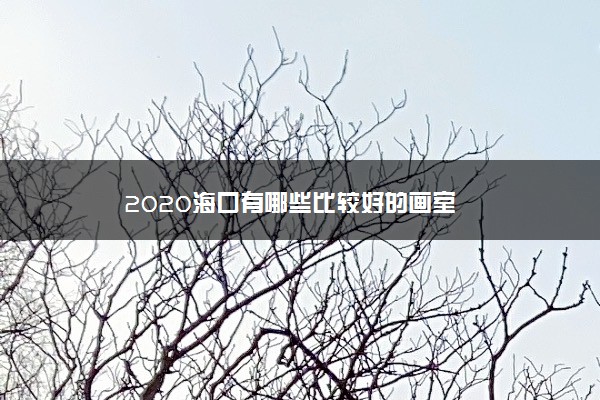 2020海口有哪些比较好的画室